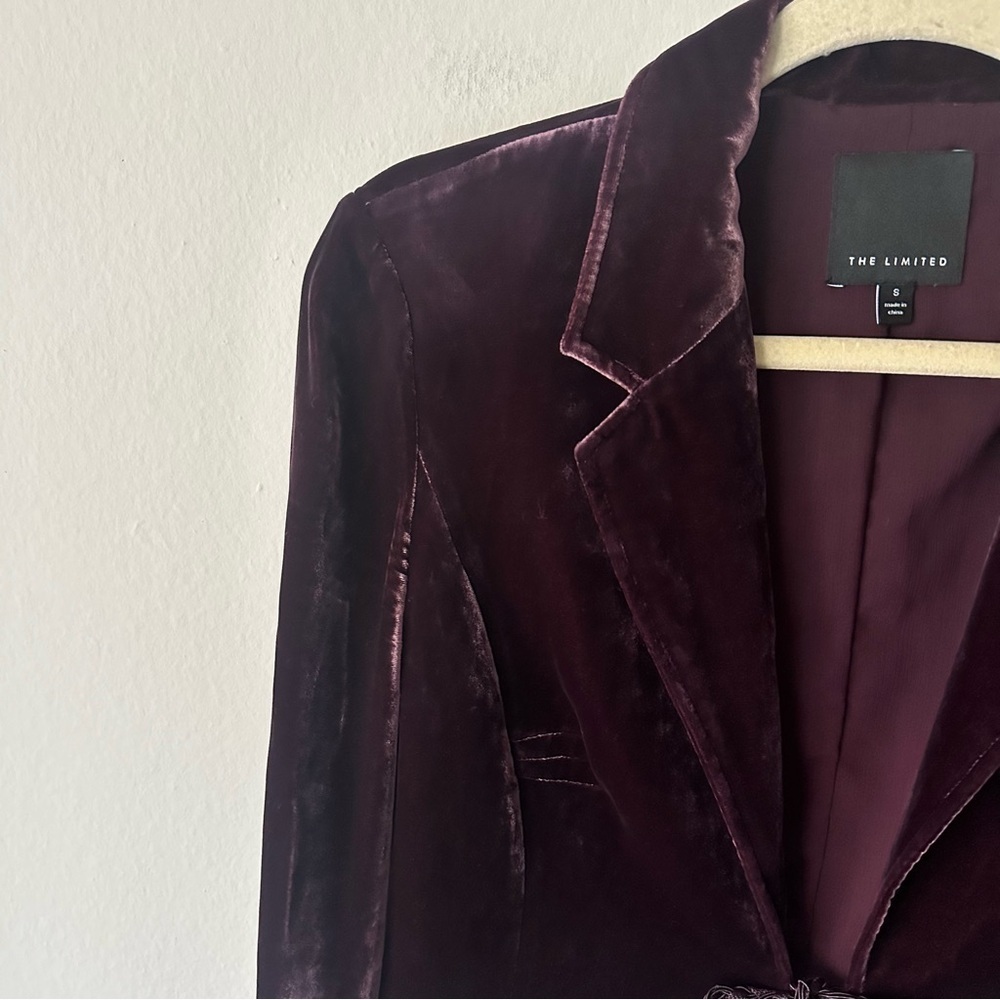 The Limited Vintage Velour Holiday Front Tie Blazer in Burgundy Small Holiday - Picture 2 of 10
